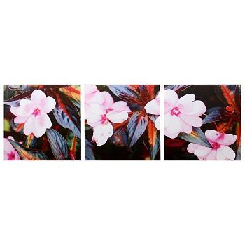 Модульная картина "Розовый цвет" (3-35х35) 35х105 см