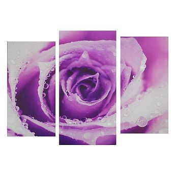 Картина модульная на подрамнике "Роза" 2шт-25,5*50,5 см, 30,5*60 см, 60х100 см