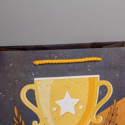 Пакет ламинированный вертикальный «Чемпиону», ML 23 × 27 × 11,5 см