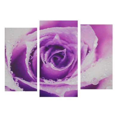 Картина модульная на подрамнике "Роза" 2шт-25,5*50,5 см, 30,5*60 см, 60х100 см