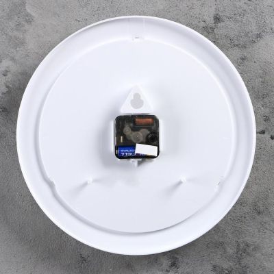 Часы настенные, серия: Цветы, "Ромашки", белый обод, 30х30 см