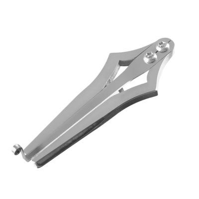 Варган Парус