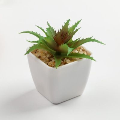 Набор свеча и массажер "Притягивай взгляды" 17 х 20,5 х 5,5 см