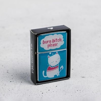 Зажигалка "Burn bitch", 5,5 х 3,5 х 1 см