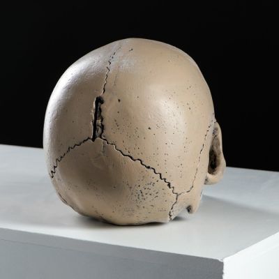 Копилка "Череп", глянец, бежевый цвет, 15 см