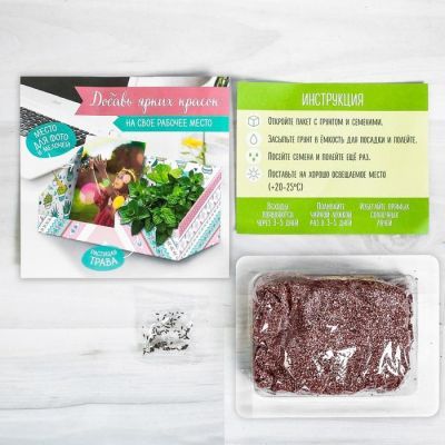 Органайзер канцелярский - растущий сувенир «Мечтай» 10.5х10 см