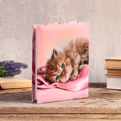 Фотоальбом на 192 фото 10х15 см "Рыжий котёнок" 22,5х17,5х5,5 см