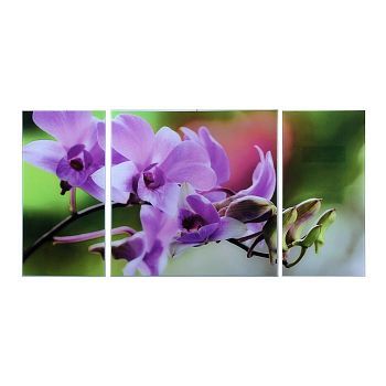 Картина модульная на стекле "Цветы" 2-25*50, 1-50*50 см,  100*50см