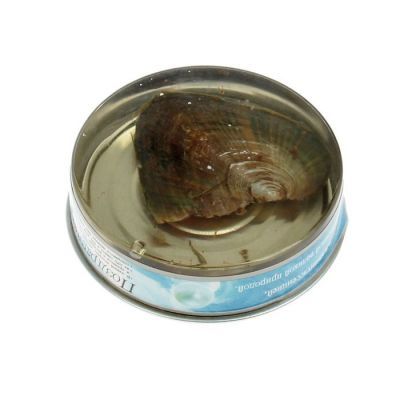 Жемчужина желаний "От всей души": цепочка 45 см + кулон "Капелька"