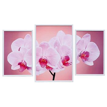 Картина модульная "Орхидея на розовом" 39*59 - 1шт., 30*47 - 2шт., 60х100 см
