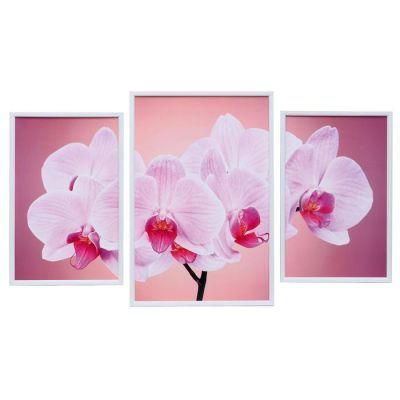 Картина модульная "Орхидея на розовом" 39*59 - 1шт., 30*47 - 2шт., 60х100 см