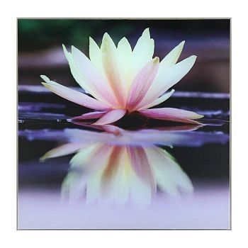 Картина "Кувшинка на воде" 30*30 см
