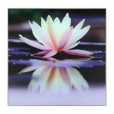 Картина "Кувшинка на воде" 30*30 см