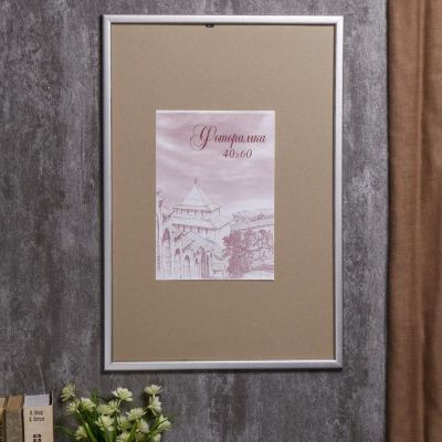 Фоторамка сосна с19 40х60 см (серебро)