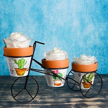 Набор кашпо керамических 3 шт, на подставке "Велосипед", кашпо 9*9см