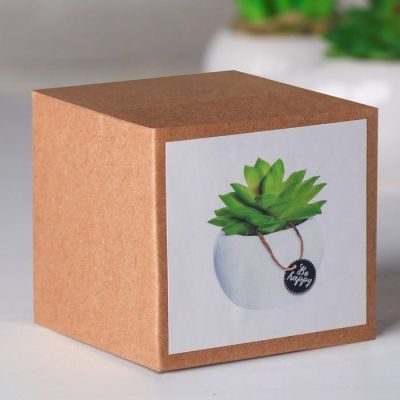 Суккулент в керамическом горшочке Be happy, 7 × 7.5 × 7.5 см