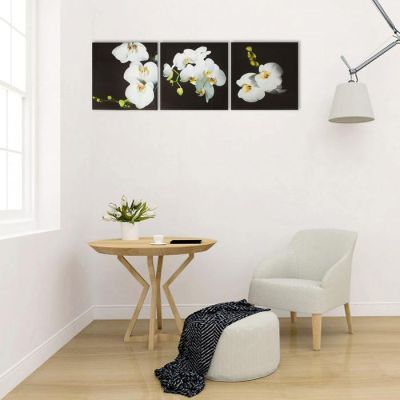 Картина модульная на подрамнике "Орхидея" 3шт.-28*28см;   28х84см