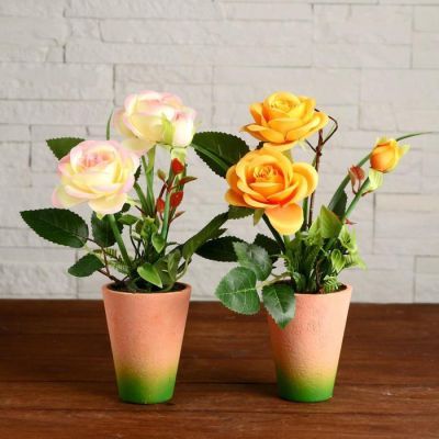 Композиция в горшочке "Розы" 8х27 см, микс