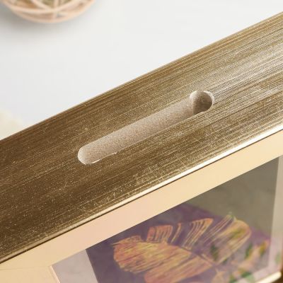 Копилка интерьерная пластик "Золотые пёрышки" 17х12х3,8 см