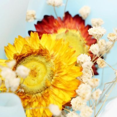 Мини букет «Радость», 8 × 14 см