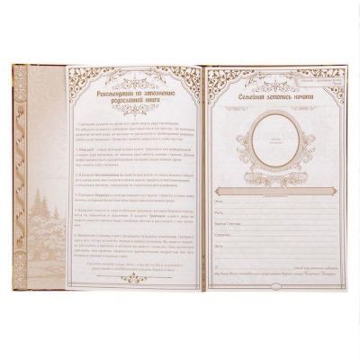 Родословная книга "Малахитовая с пером" (31 х 22 х 3 см) 50 листов 