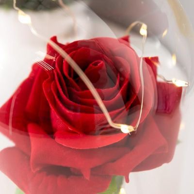 Ночник "Колба с алой розой" LED от батареек 3ААА 19,5х9,5х9,5 см