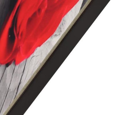 Картина велюр "Роза" 50х70 (53х73)см