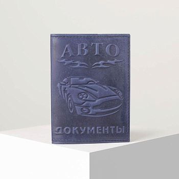 Обложка для автодокументов, цвет синий