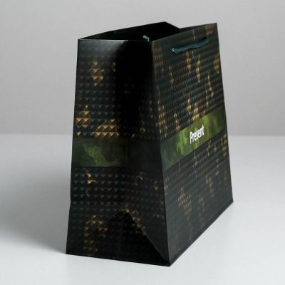 Пакет ламинированный горизонтальный Present, ML 27 × 23 × 11,5 см