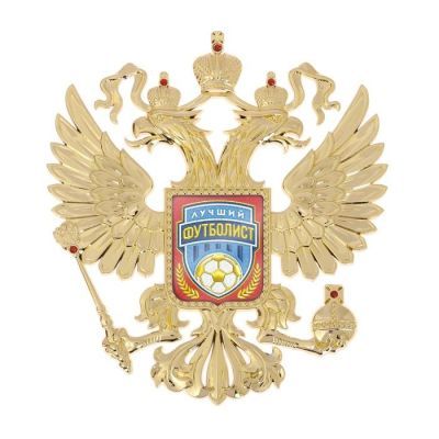 Герб настенный «Лучший футболист», 25 х 22.5 см