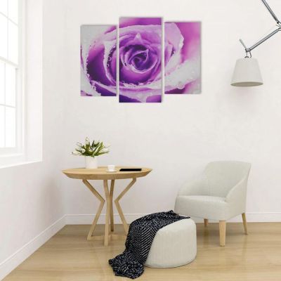 Картина модульная на подрамнике "Роза" 2шт-25,5*50,5 см, 30,5*60 см, 60х100 см