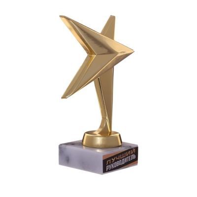 Кубок звезда "Золотой руководитель" 11,5 х 9,5 см