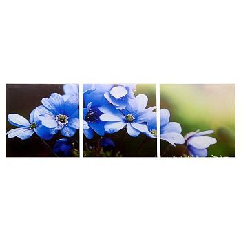 Модульная картина "Цветы рассвета" (3-35х35) 35х105 см