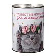Сувенирная банка "Пушистые носочки", внутри жен. носки, цвета МИКС