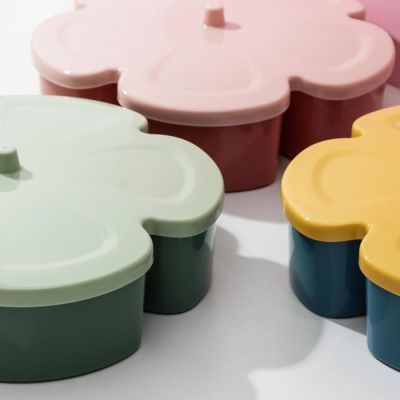 Менажница с крышкой «Цветок», 6 отделений, 27×7,5 см, цвет МИКС