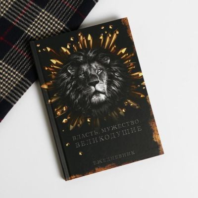 Набор "Мужчине №1", теплый шарф и ежедневник