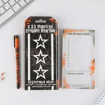 Подарочный набор «С 23 февраля лучшему мужчине» планинг и ручка