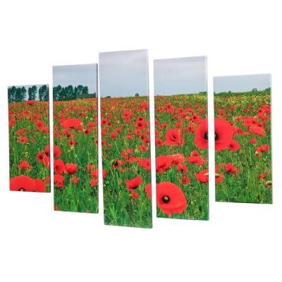 Модульная картина "Красные маки" (2-23х52; 2-24х70; 1-24х80) 120х80см