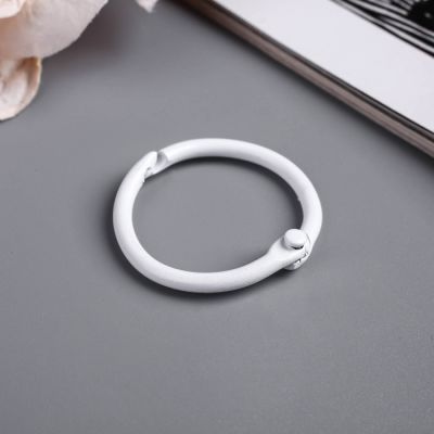 Кольца для творчества (для фотоальбомов) "Белое" набор 6 шт d=3 см