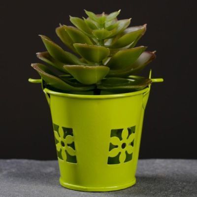 Кашпо "Ведерко" узор, 5,5*5,5см, цвет микс