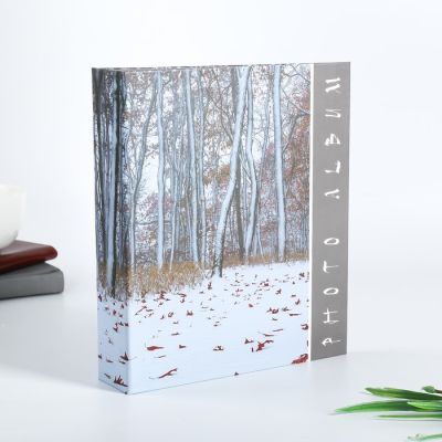 Фотоальбом на 80 фото 10х15 см "Природа" в коробке МИКС 23х19х5,2 см