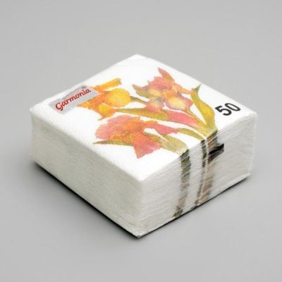 Салфетки бумажные «Гармония цвета. Ирисы», 50 шт.