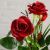 Композиция в горшочке "Розы" 8х27 см, микс Композиция в горшочке "Розы" 8х27 см, микс