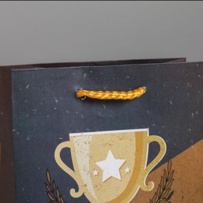 Пакет ламинированный вертикальный «Чемпиону», S 12 × 15 × 5.5 см