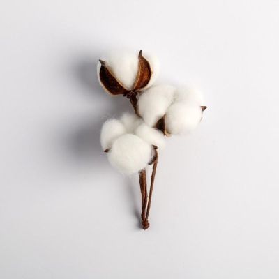 Подарочный набор с экодекором «Прекрасных мгновений», 14 × 22 × 5 см