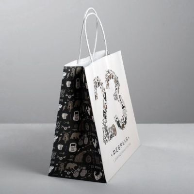 Пакет подарочный крафт «С Днем защитника Отечества», 25 х 22 х 12 см