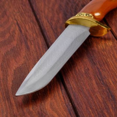 Сувенирный нож, рукоять под дерево с головой лося, ножны расписные, 6х32 см