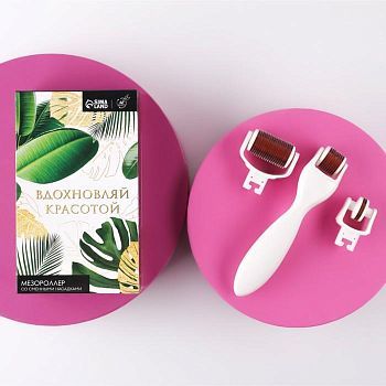 Набор мезороллер с насадками "Вдохновляй красотой"