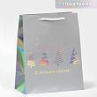 Пакет голографический  «Сказочный лес», 18 х 23 х 10 см