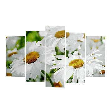 Картина модульная на подрамнике "Ромашки" 2шт-25х52; 2шт-25х67; 1шт-25х80см  80*125 см